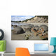 Moeraki Boulders Koekohe Beach Wall Decal Design 17