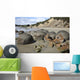 Moeraki Boulders Koekohe Beach Wall Decal Design 17
