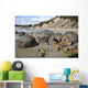 Moeraki Boulders Koekohe Beach Wall Decal Design 17