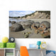 Moeraki Boulders Koekohe Beach Wall Decal Design 17
