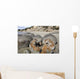 Moeraki Boulders Koekohe Beach Wall Decal Design 16