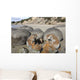 Moeraki Boulders Koekohe Beach Wall Decal Design 16