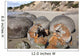 Moeraki Boulders Koekohe Beach Wall Decal Design 16