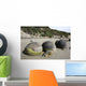 Moeraki Boulders Koekohe Beach Wall Decal Design 15