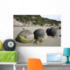 Moeraki Boulders Koekohe Beach Wall Decal Design 15