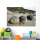 Moeraki Boulders Koekohe Beach Wall Decal Design 15