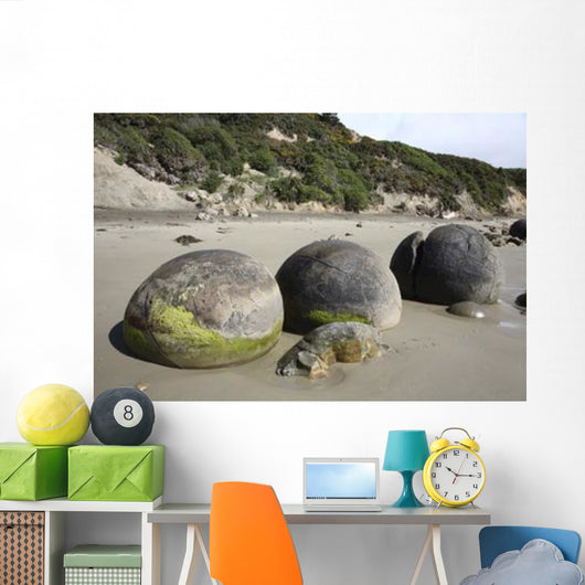 Moeraki Boulders Koekohe Beach Wall Decal Design 15