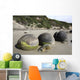 Moeraki Boulders Koekohe Beach Wall Decal Design 15
