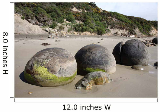 Moeraki Boulders Koekohe Beach Wall Decal Design 15