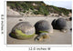 Moeraki Boulders Koekohe Beach Wall Decal Design 15