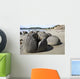 Moeraki Boulders Koekohe Beach Wall Decal Design 14