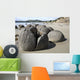 Moeraki Boulders Koekohe Beach Wall Decal Design 14