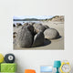 Moeraki Boulders Koekohe Beach Wall Decal Design 14