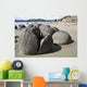 Moeraki Boulders Koekohe Beach Wall Decal Design 14