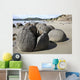 Moeraki Boulders Koekohe Beach Wall Decal Design 14