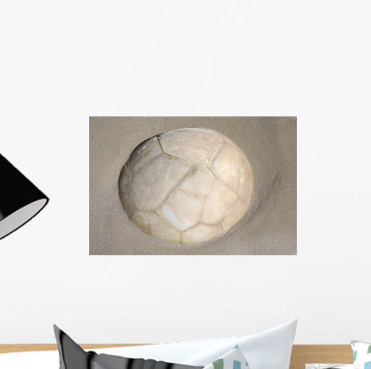 Moeraki Boulder Koekohe Beach Wall Decal Design 3