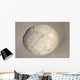 Moeraki Boulder Koekohe Beach Wall Decal Design 3