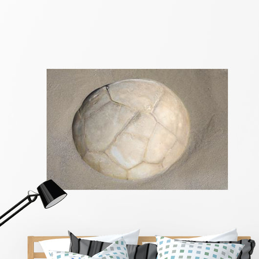Moeraki Boulder Koekohe Beach Wall Decal Design 3