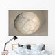 Moeraki Boulder Koekohe Beach Wall Decal Design 3