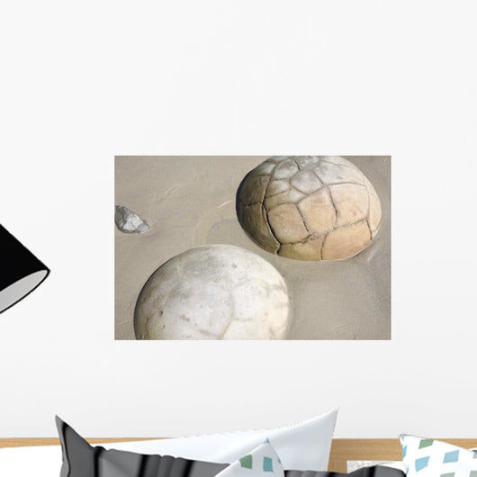 Moeraki Boulders Koekohe Beach Wall Decal Design 13
