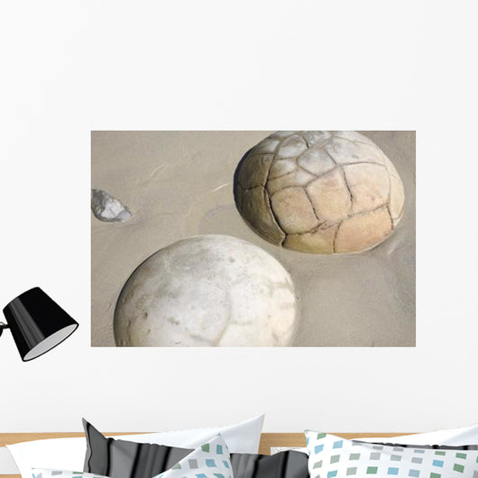 Moeraki Boulders Koekohe Beach Wall Decal Design 13