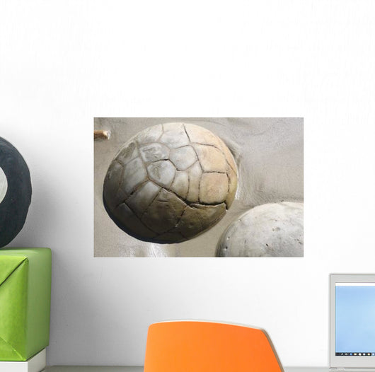 Moeraki Boulders Koekohe Beach Wall Decal Design 12