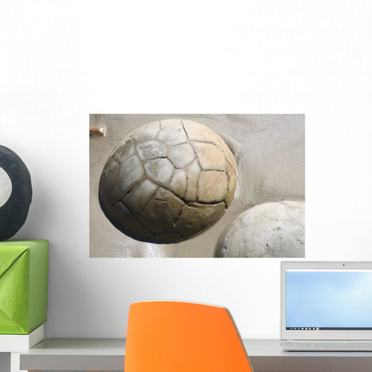Moeraki Boulders Koekohe Beach Wall Decal Design 12