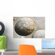 Moeraki Boulders Koekohe Beach Wall Decal Design 12