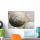 Moeraki Boulders Koekohe Beach Wall Decal Design 12