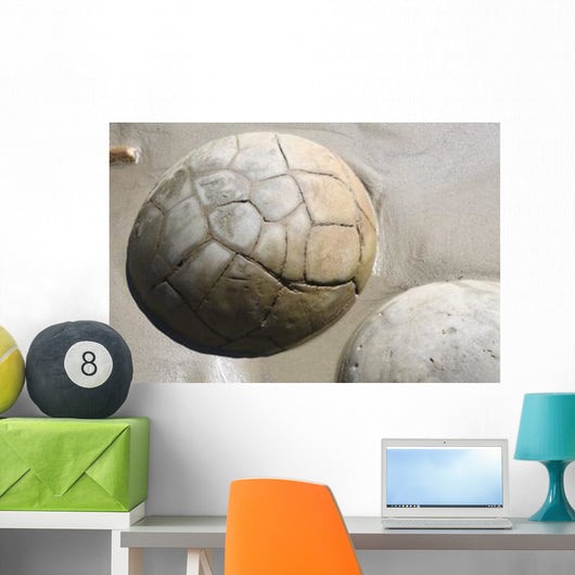 Moeraki Boulders Koekohe Beach Wall Decal Design 12