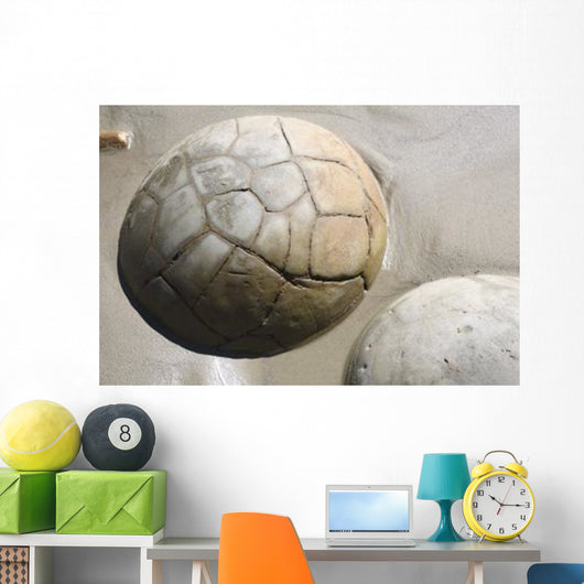 Moeraki Boulders Koekohe Beach Wall Decal Design 12