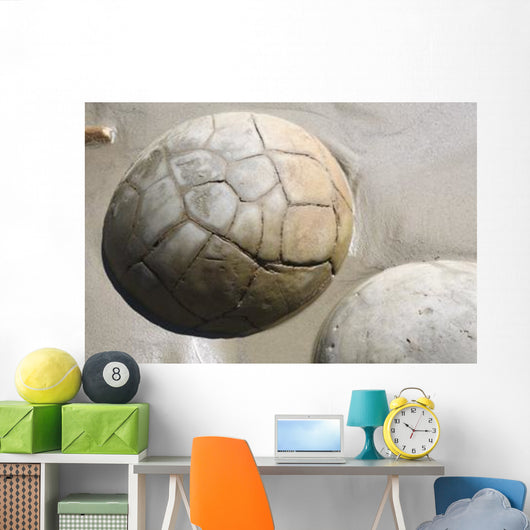 Moeraki Boulders Koekohe Beach Wall Decal Design 12