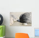 Moeraki Boulders Koekohe Beach Wall Decal Design 11