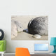 Moeraki Boulders Koekohe Beach Wall Decal Design 11