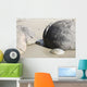 Moeraki Boulders Koekohe Beach Wall Decal Design 11