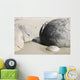 Moeraki Boulders Koekohe Beach Wall Decal Design 11
