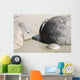 Moeraki Boulders Koekohe Beach Wall Decal Design 11