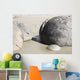 Moeraki Boulders Koekohe Beach Wall Decal Design 11