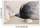 Moeraki Boulders Koekohe Beach Wall Decal Design 11