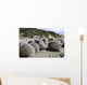 Moeraki Boulders Koekohe Beach Wall Decal Design 10