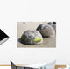 Moeraki Boulders Koekohe Beach Wall Decal Design 9