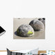 Moeraki Boulders Koekohe Beach Wall Decal Design 9
