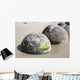 Moeraki Boulders Koekohe Beach Wall Decal Design 9