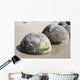 Moeraki Boulders Koekohe Beach Wall Decal Design 9