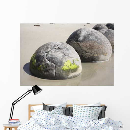 Moeraki Boulders Koekohe Beach Wall Decal Design 9