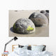 Moeraki Boulders Koekohe Beach Wall Decal Design 9