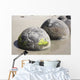 Moeraki Boulders Koekohe Beach Wall Decal Design 9