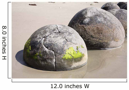 Moeraki Boulders Koekohe Beach Wall Decal Design 9