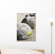 Moeraki Boulders Koekohe Beach Wall Decal Design 8