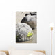 Moeraki Boulders Koekohe Beach Wall Decal Design 8